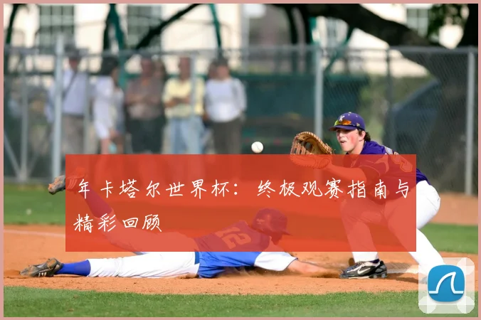 年卡塔尔世界杯：终极观赛指南与精彩回顾